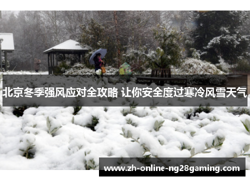 北京冬季强风应对全攻略 让你安全度过寒冷风雪天气