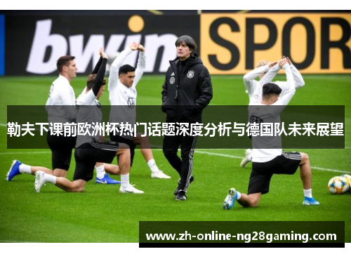 勒夫下课前欧洲杯热门话题深度分析与德国队未来展望