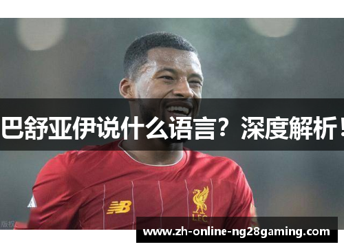 巴舒亚伊说什么语言？深度解析！