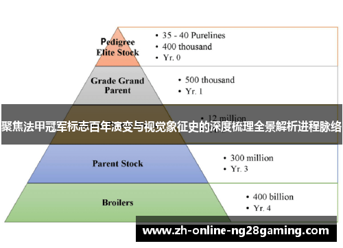 聚焦法甲冠军标志百年演变与视觉象征史的深度梳理全景解析进程脉络
