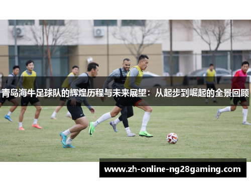 青岛海牛足球队的辉煌历程与未来展望：从起步到崛起的全景回顾