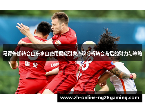 马德鲁加转会山东泰山费用揭晓引发热议分析转会背后的财力与策略