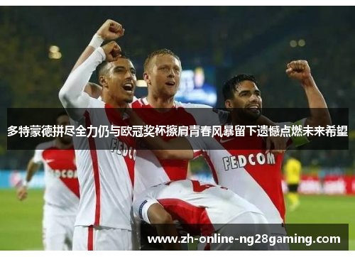 多特蒙德拼尽全力仍与欧冠奖杯擦肩青春风暴留下遗憾点燃未来希望