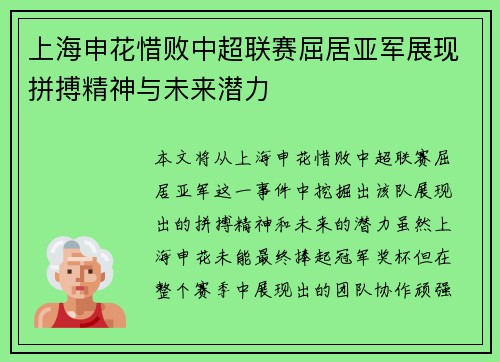 上海申花惜败中超联赛屈居亚军展现拼搏精神与未来潜力
